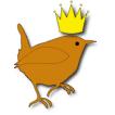 Wren with Crown